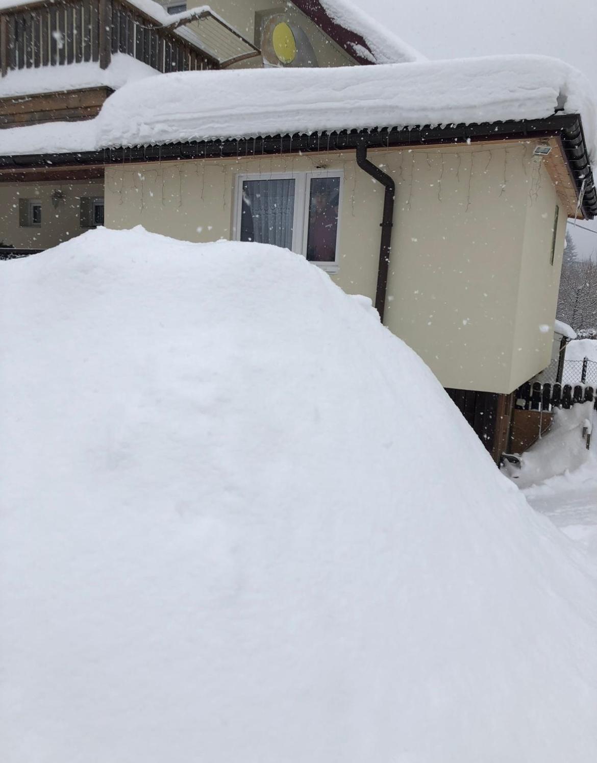 Agroturystyka Dor-Ali U Ali Zubracze Exterior foto